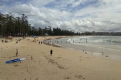 Manly Beach
