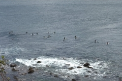 Surfer in der Nähe von Shelly Beach