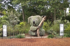 Botanische Kunst?