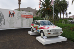 Ein von Manrique bemalter Seat Ibiza