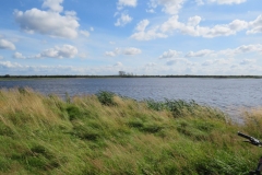 Rast am Birkenso