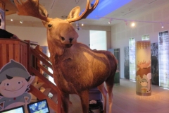 Ausstellung im Besucherzentrum