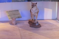 Ausstellung im Besucherzentrum