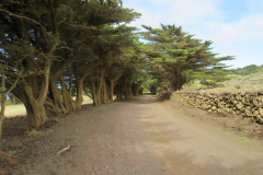 Auf dem Weg zu El Sabinar