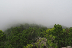 In den Wolken beim Mirador La Llanio