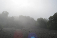 In den Wolken beim Mirador La Llanio