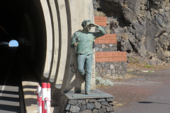 Ein Verehrer beim Playa de Timijiraque