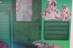 Informationsmaterial über die Rieseneidechsen