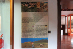 Centro etnográfico - Casa de Las Quinteras
