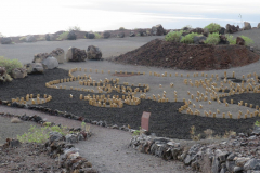 Centro de Interpretación del Geoparque