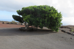 Centro de Interpretación del Geoparque