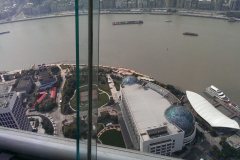 View from Oriental_Pearl Tower