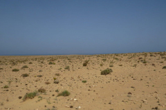 Ein Blick zurück zur Ostküste