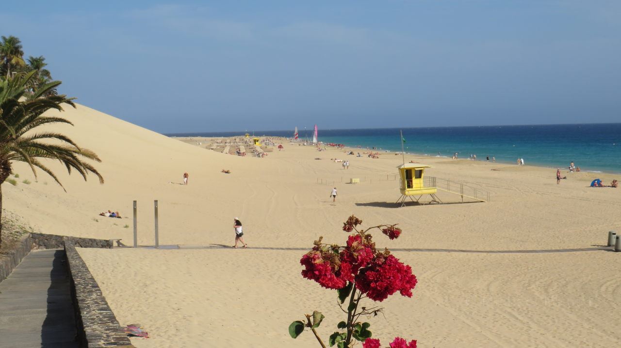 Blick hinunter auf den Strand