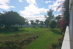 Gepflegte Außenanlagen