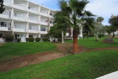 Gepflegte Außenanlagen