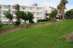 Gepflegte Außenanlagen