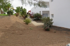 Gepflegte Außenanlagen