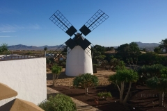 Die Windmühle