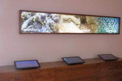 Interaktive Ausstellung über die Flora und Fauna auf Fuerteventura