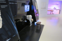 Im interaktiven Käsemuseum