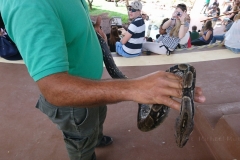 Eine kleine Python