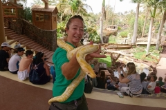 Eine etwas größere Python (Albino)