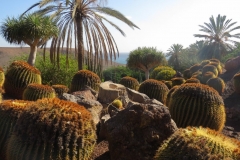Blick über den botanischen Garten