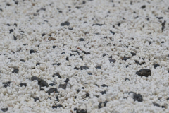Alles voller Popcorn