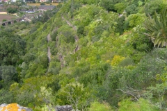 Der Weg nach unten