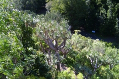 Blick nach unten