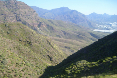 View into the heart of the island