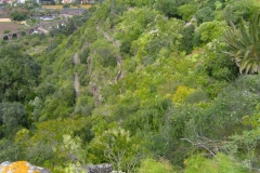 Jardin Botanico