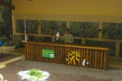 Papageienshow