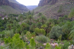 Blick in das Tal
