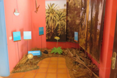 Im Casa de la Miel de Palma