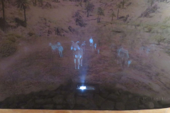 Videoinstallation in der Ausstellung