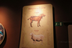 In der Ausstellung
