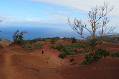 Rote Felsen in der Nähe vom Mirador de Abrante