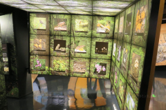 Centro de Visitantes del Parque Nacional del Garajonay