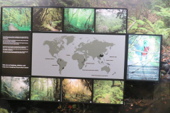 Centro de Visitantes del Parque Nacional del Garajonay