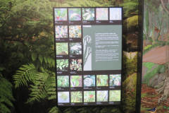 Centro de Visitantes del Parque Nacional del Garajonay