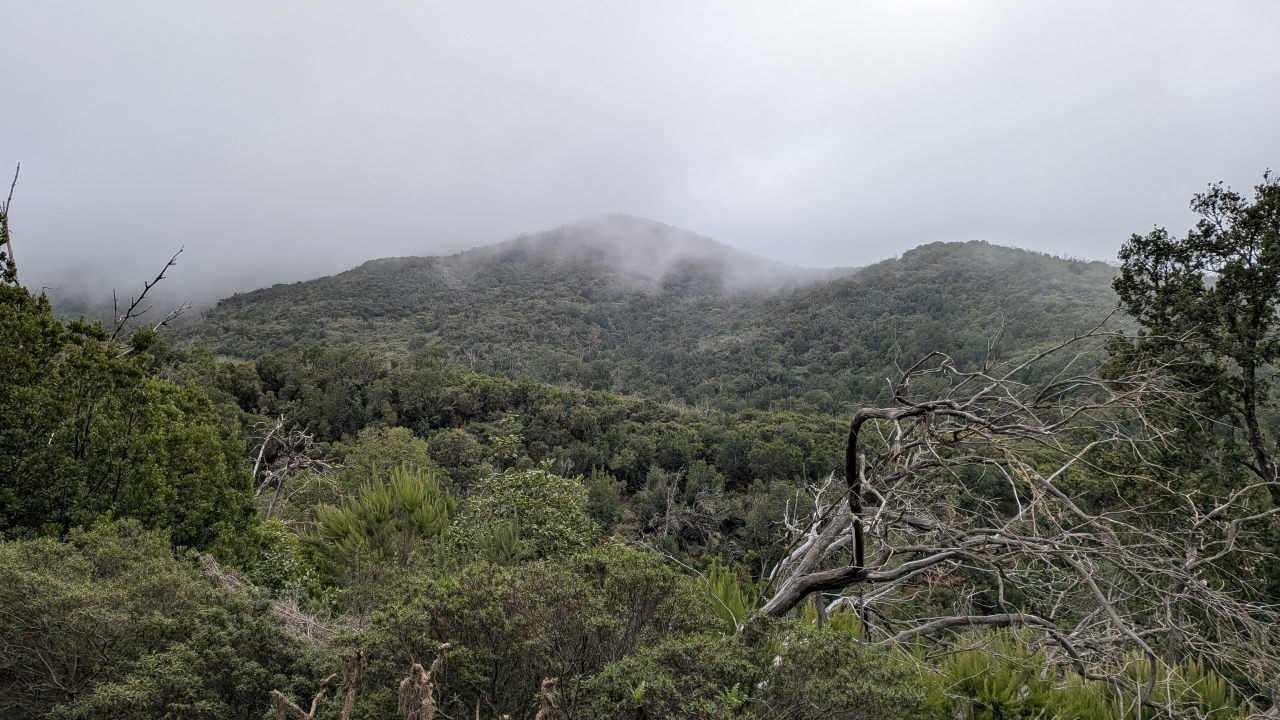 Wanderung durch den Nationalpark