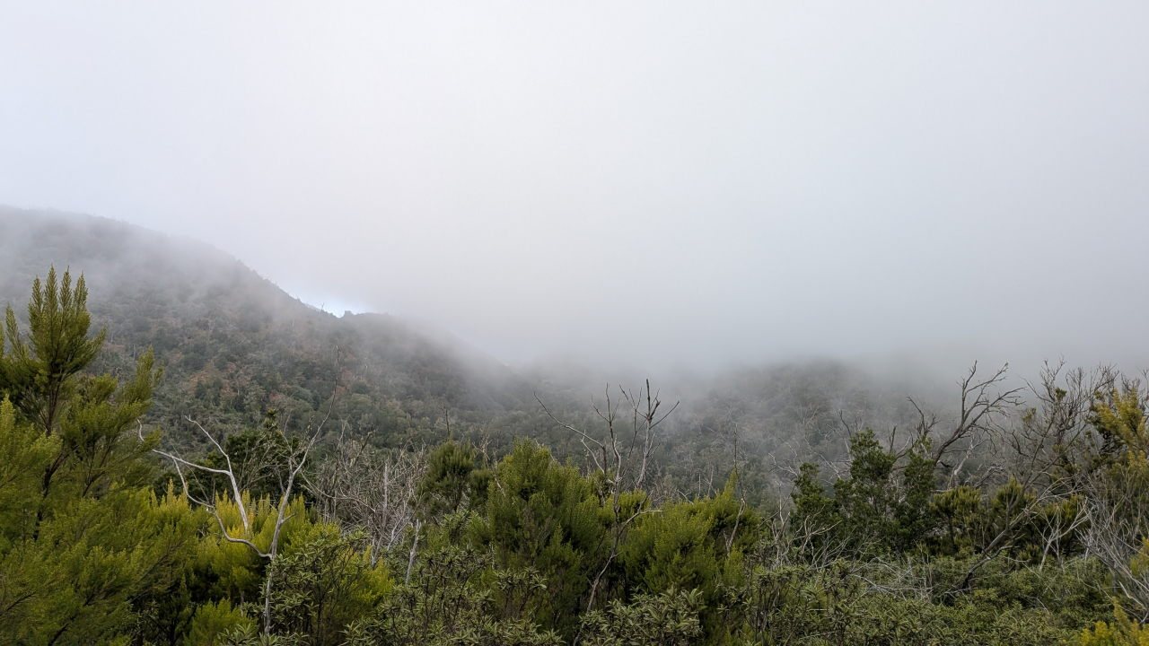 Wanderung durch den Nationalpark