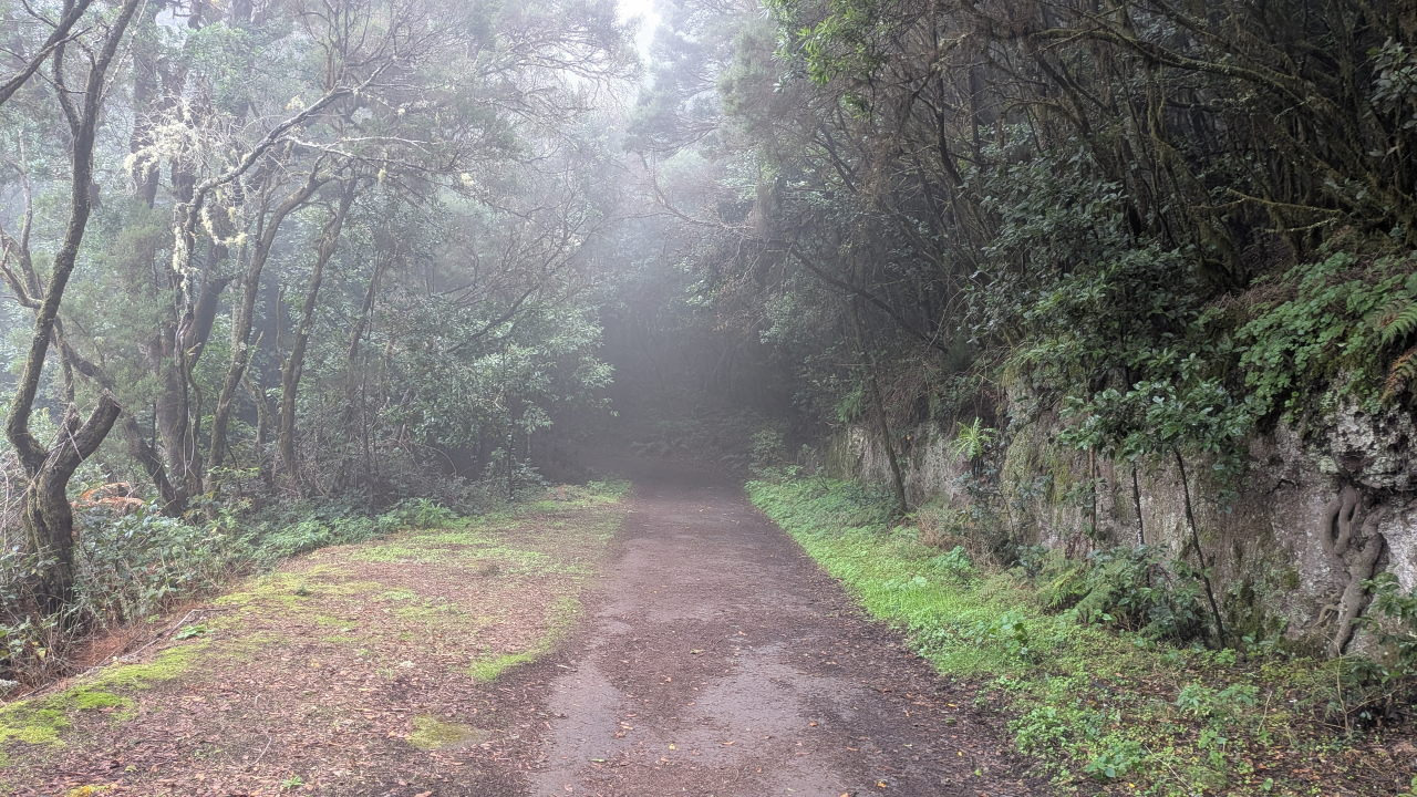 Wanderung durch den Nationalpark