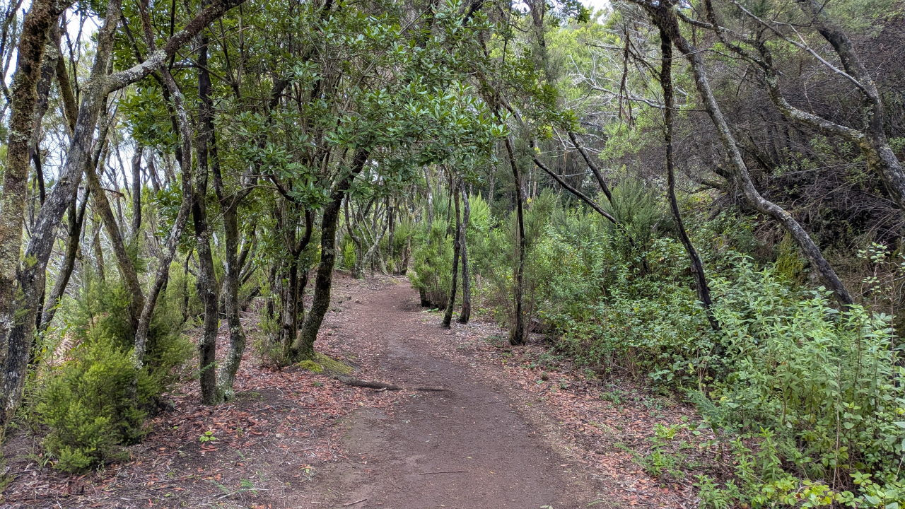 Wanderung durch den Nationalpark