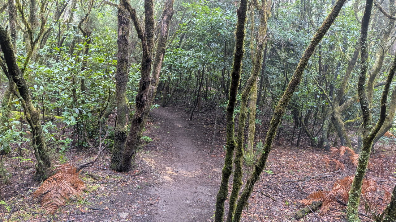 Wanderung durch den Nationalpark
