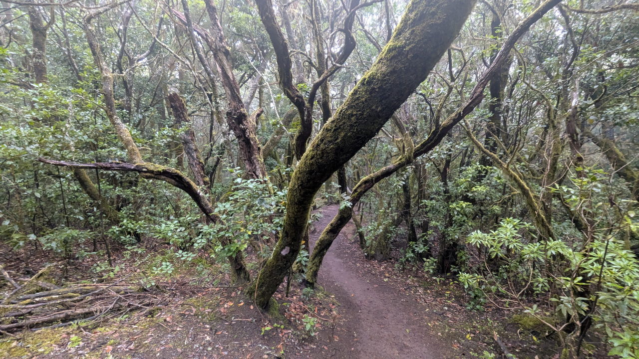 Wanderung durch den Nationalpark