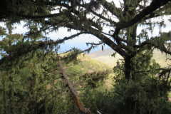 Ausblick bei Chorros de Epina