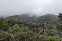 Wanderung durch den Nationalpark